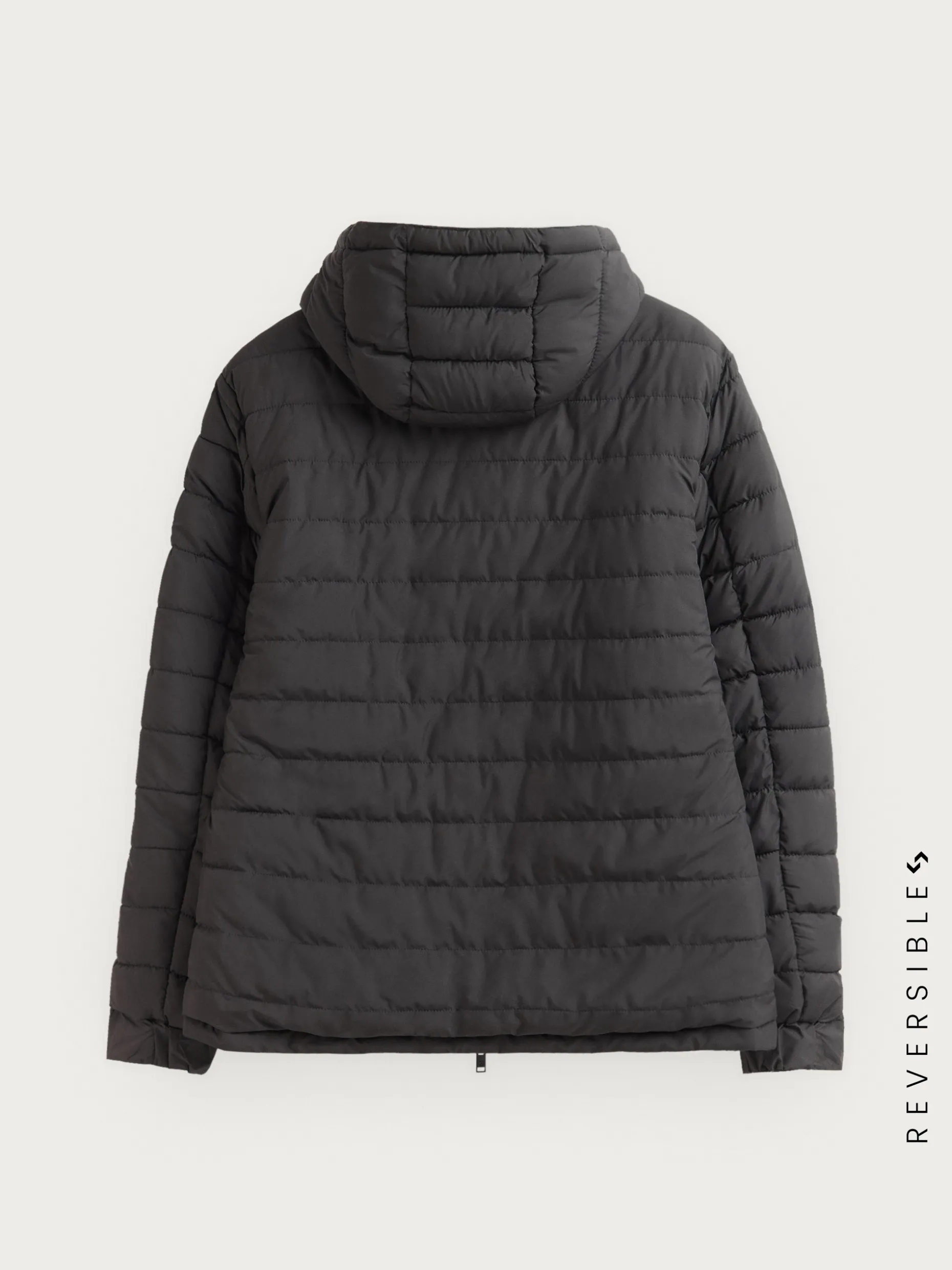 Giubbotto Reversibile Ratched - Design Elegante a Doppia Faccia, Colore Cacao | Acquista Online su Alvaro Moreno Shop
