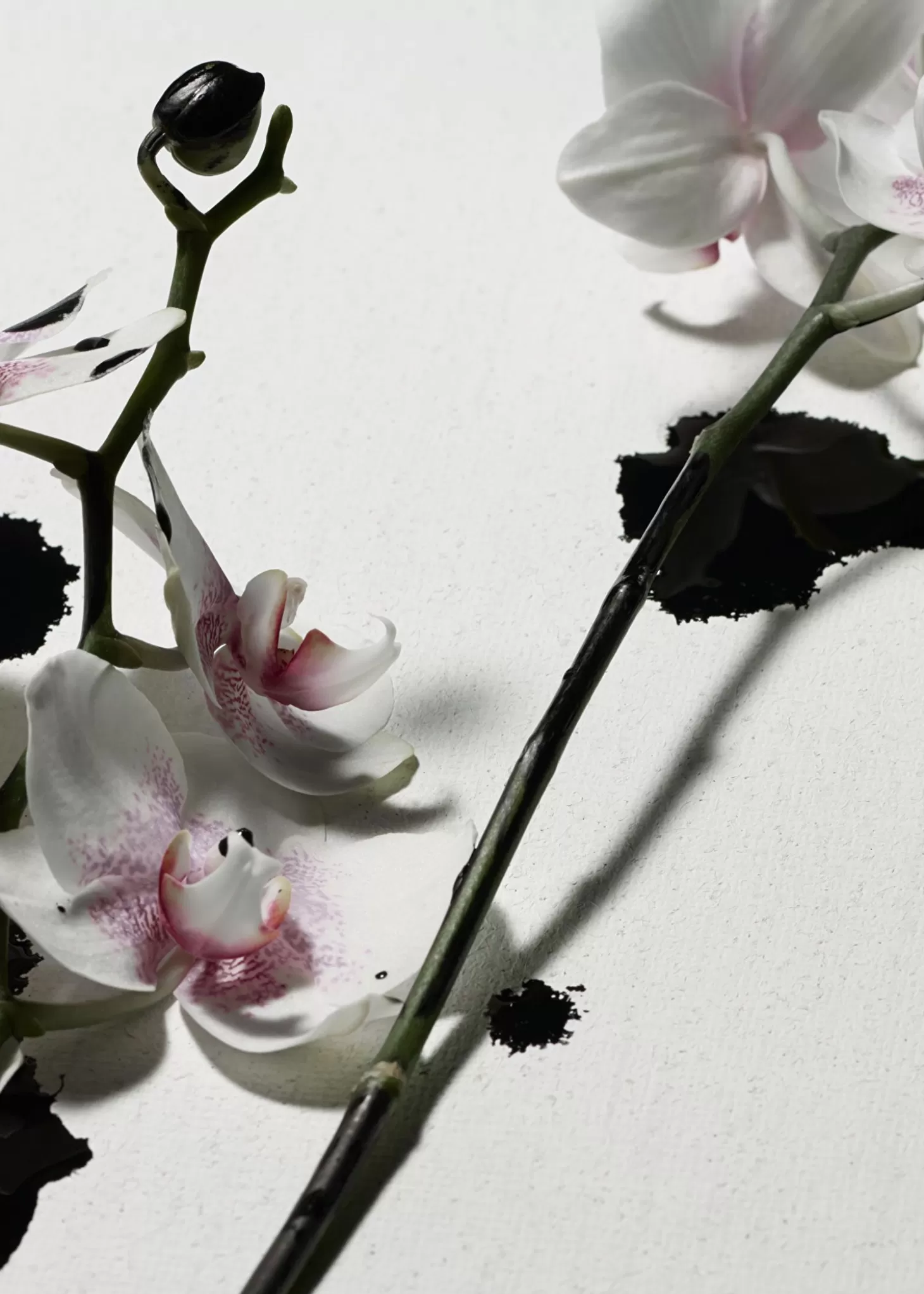 Crema Corpo Ribelle con Bouquet Floreale | Store & Other Stories Collection 

Trattamento Idratante Punk per la Pelle - Aroma Avanguardista di Fiori Selvaggi 

Crema Corpo Intensa 